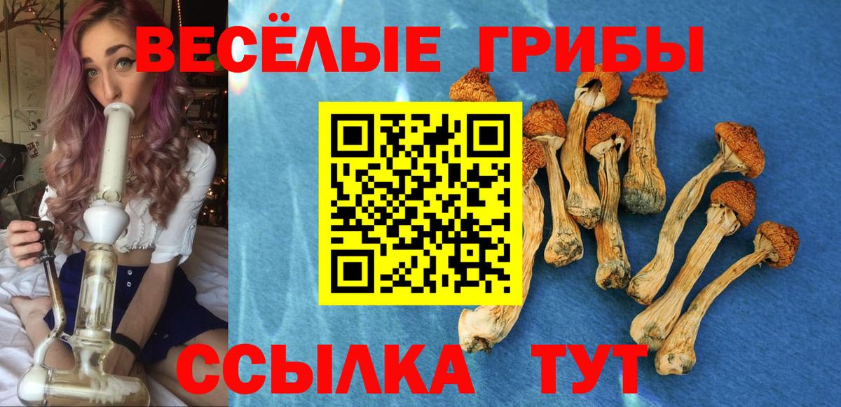 Псилоцибиновые грибы прущие грибы Кизилюрт